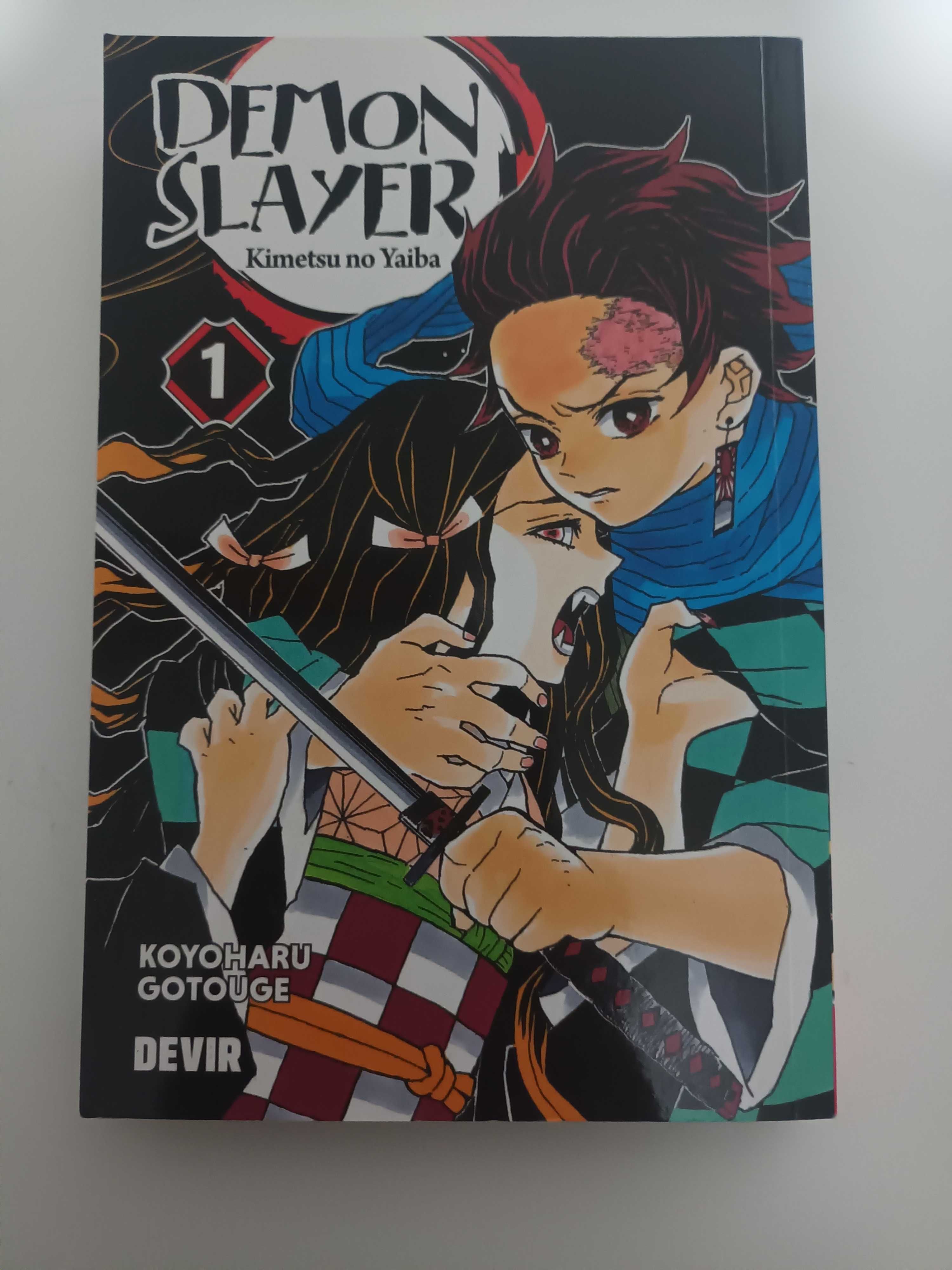 DEMON SLAYER livros semi-novos