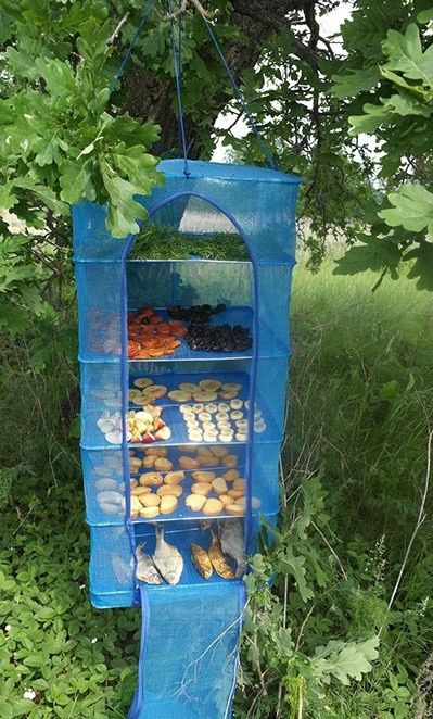 Сушилка 5полок для рыбы,грибов,фруктов 50×50×100 усиленная