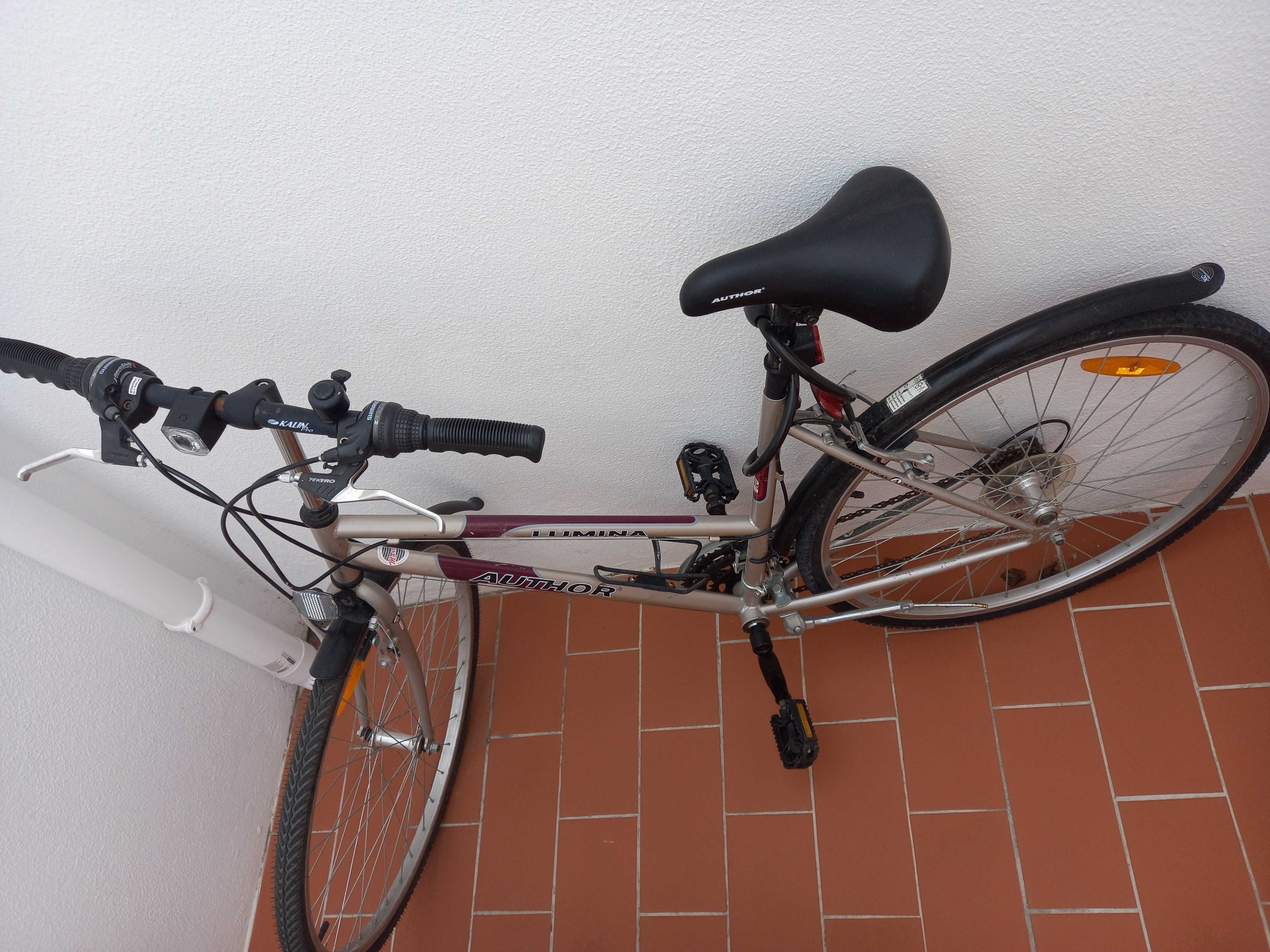 [URGENTE] Bicicleta com acessórios