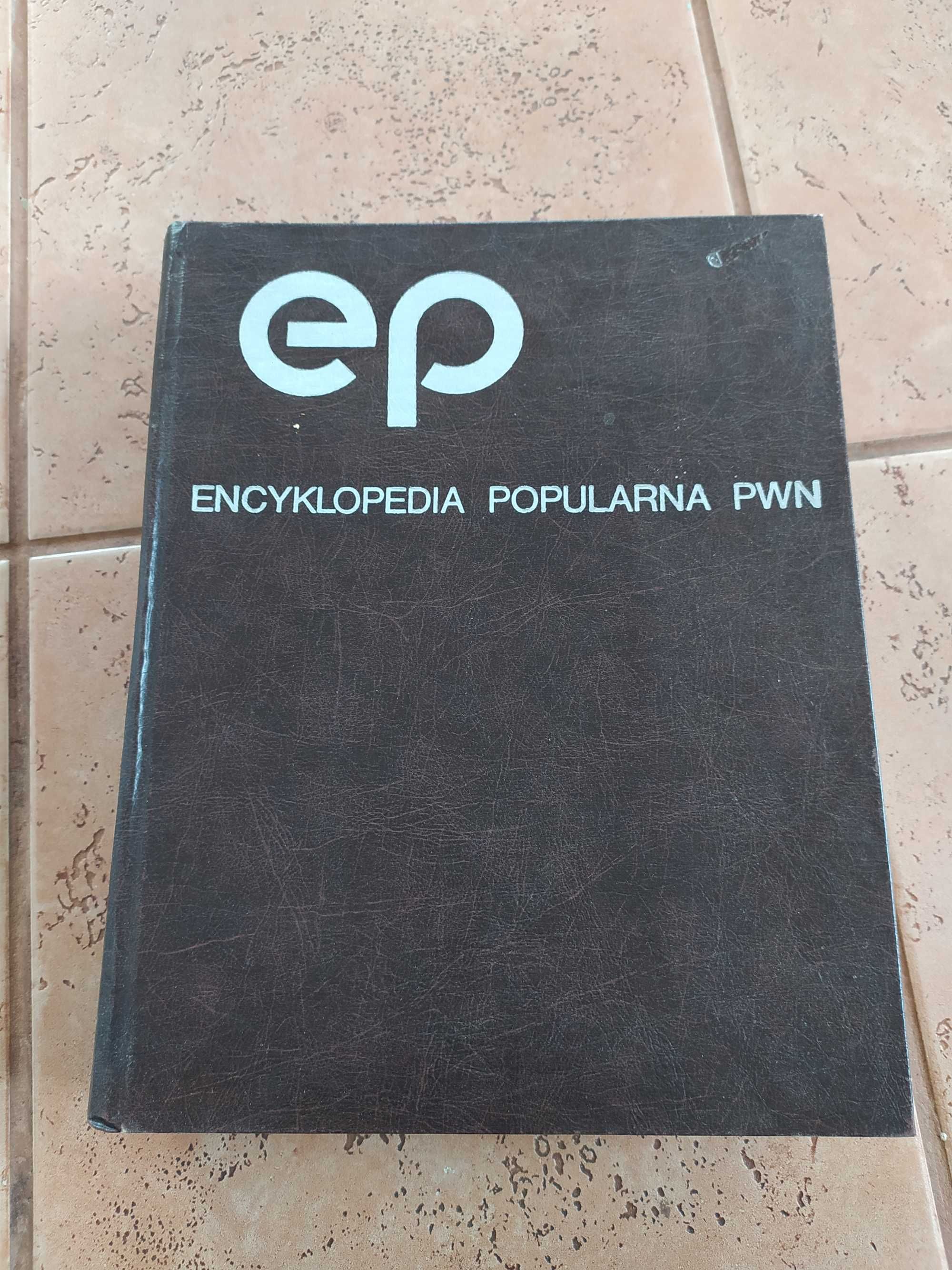 Encyklopedia popularna PWN 1982