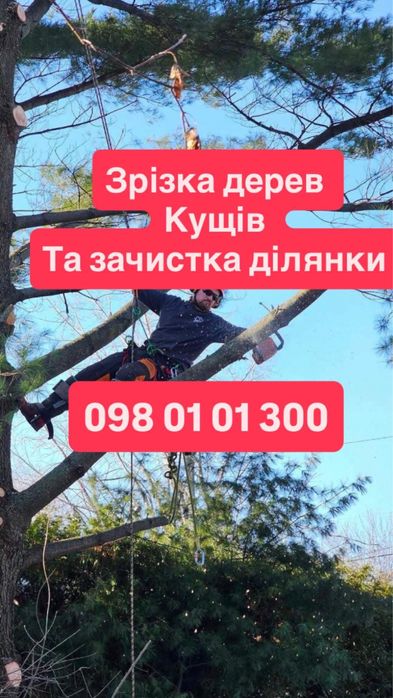 Обрізка дерев,Зачистка ділянки ,Вивіз сміття ,Утилізація
