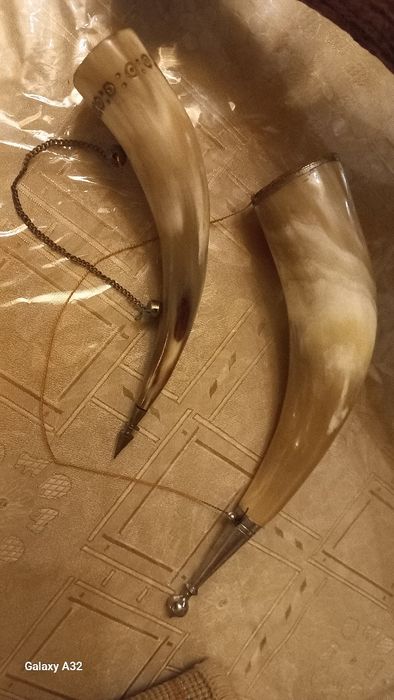 Рогі для декору, лаковані