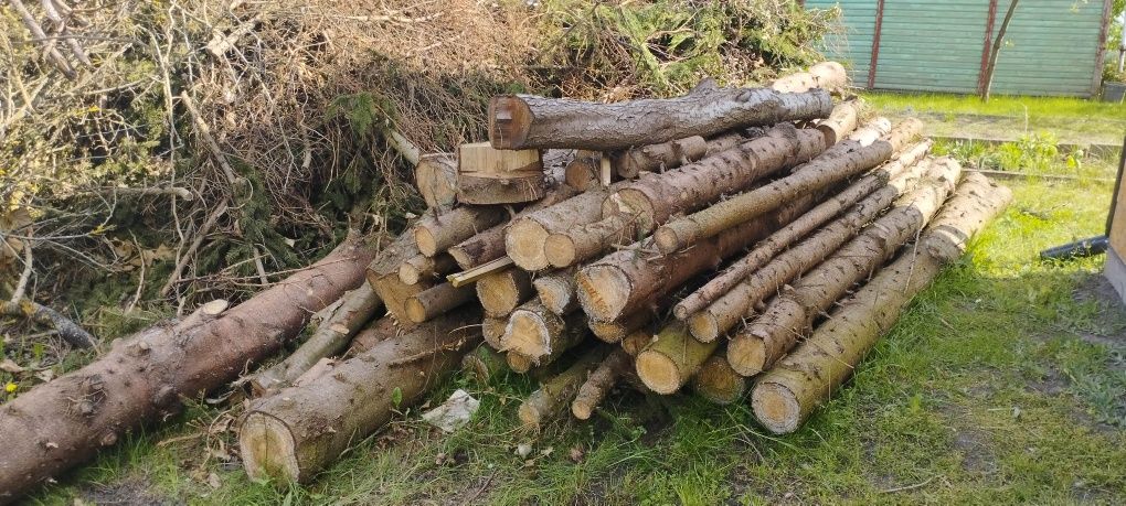 Pilne oddam gałęzie i drewno widoczne na zdięciu