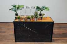 Mobilny Bar lemoniadowy - od producenta