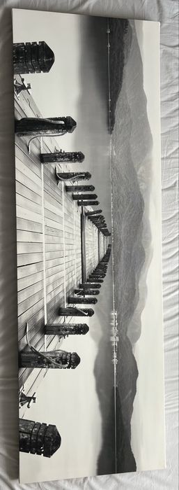 Obraz do salonu lub sypialni