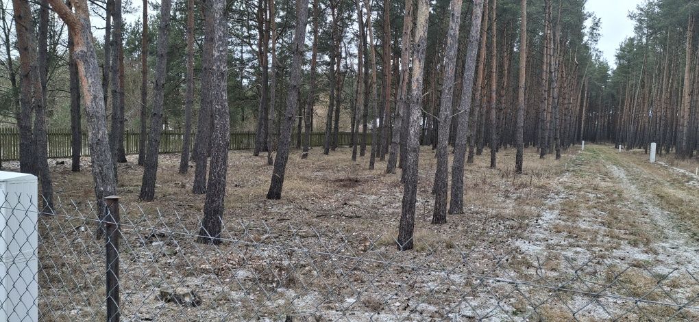 Działka pod zabudowe Kamieńczyk pow. Wyszkowski
