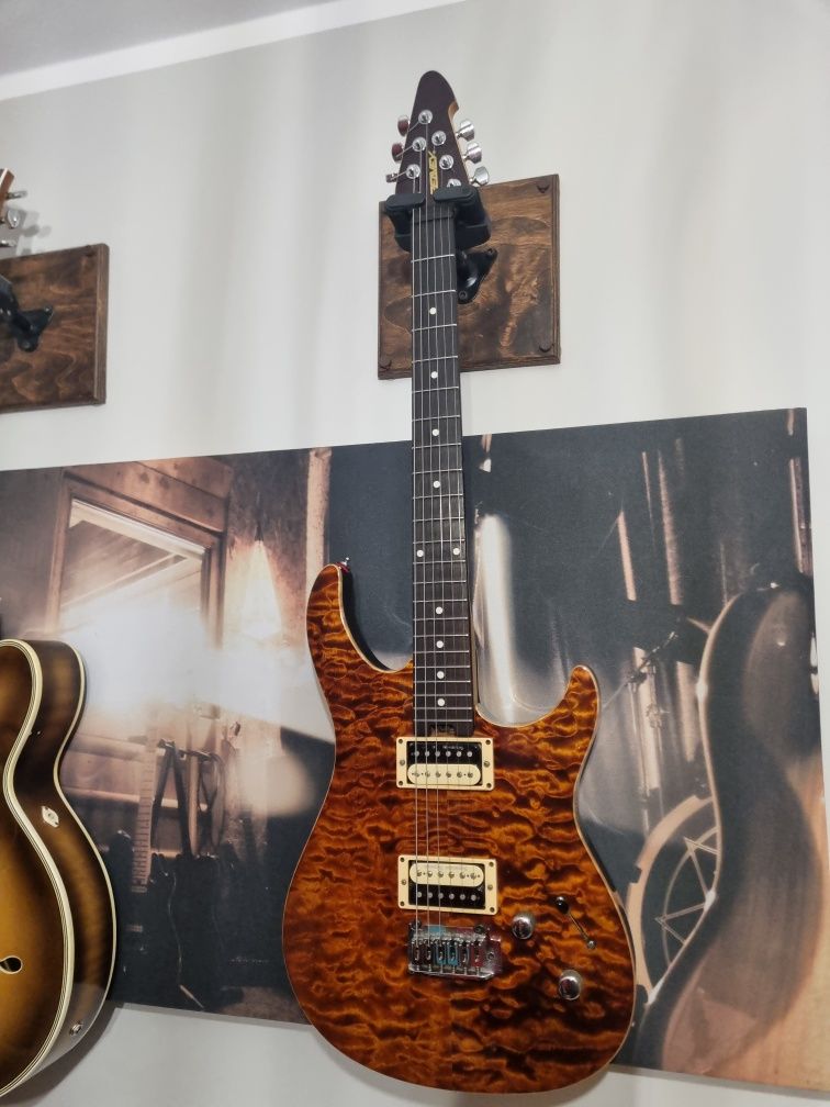 Peavey Limited HB USA