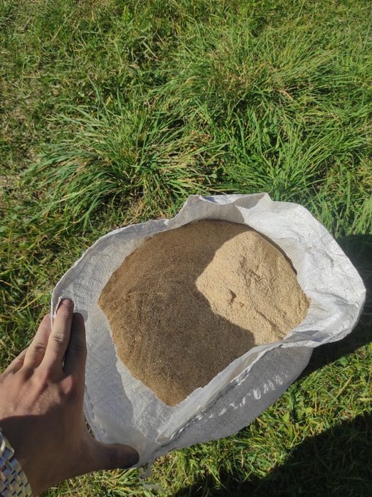 Соснова ТИРСА без кори