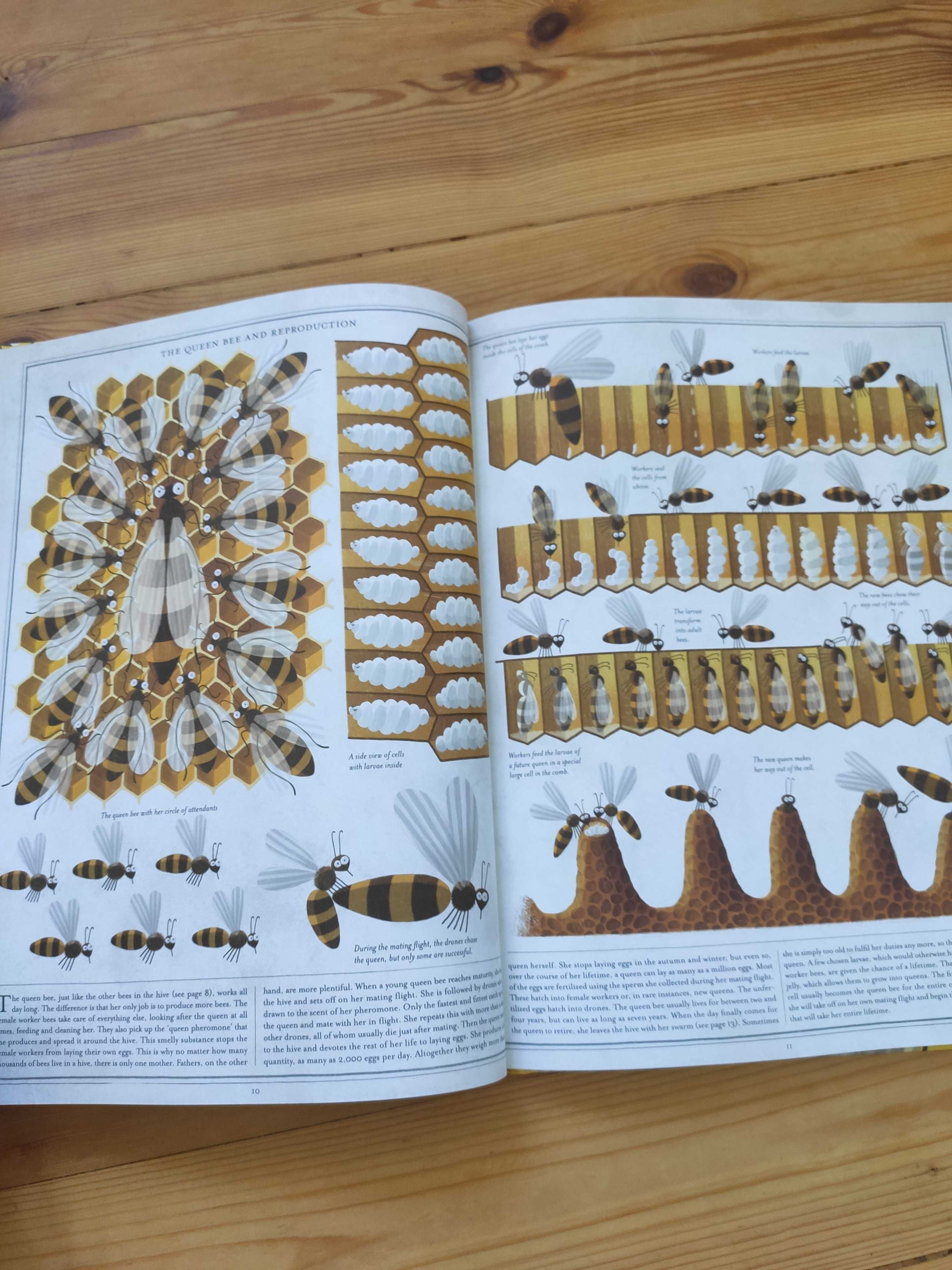 The book of bees Piotr Socha