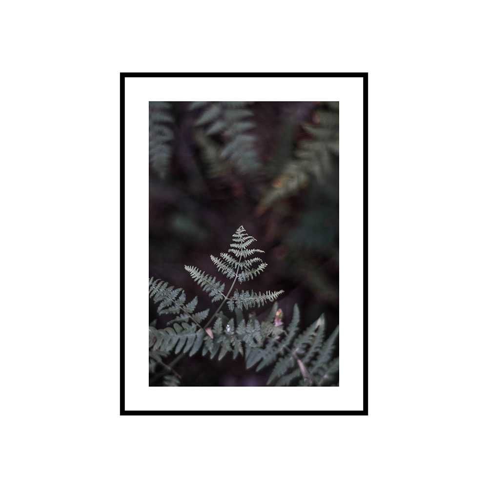 Plakat obraz zdjęcie format A3 30x40 cm kwiaty białe hortensje paproć