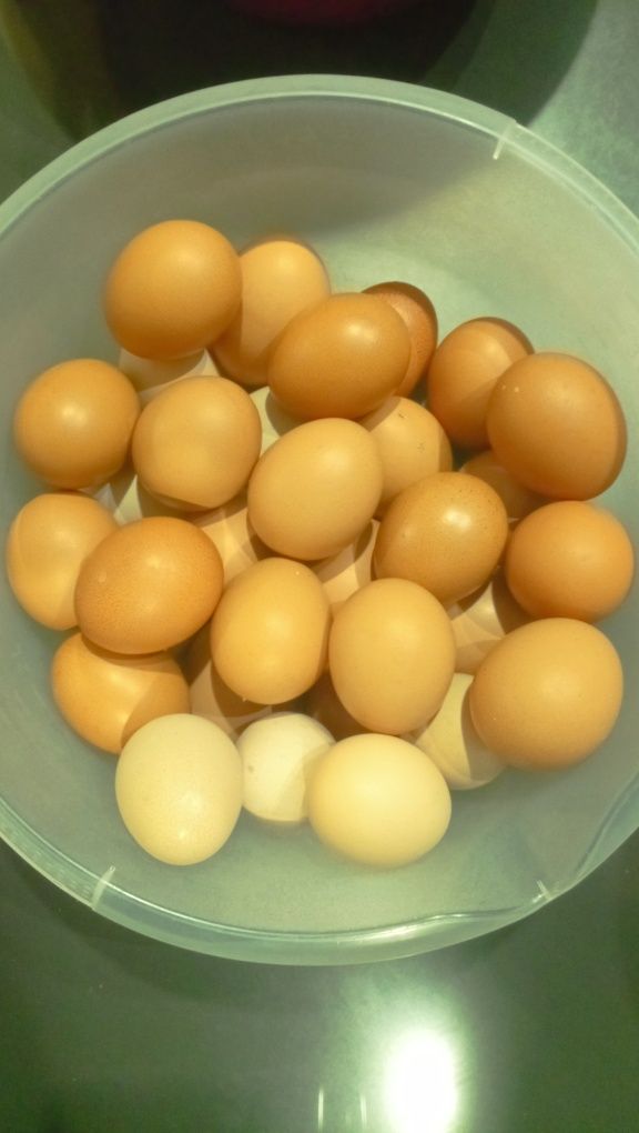 Ovos para consumo