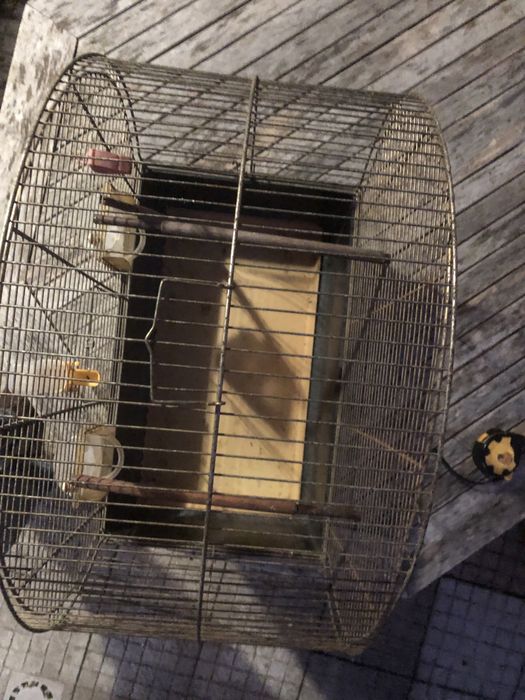 Gaiola para canários