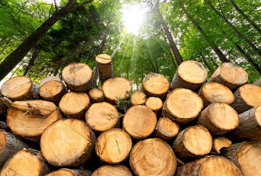 Продаж дров твердих порід
