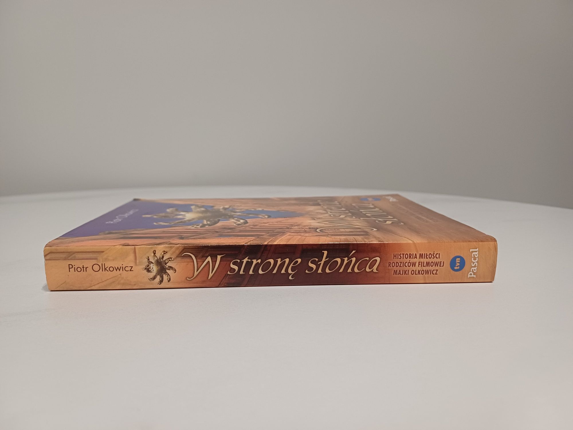 Piotr Olkowicz- W stronę słońca stan idealny (serial Majka w Krakowie)