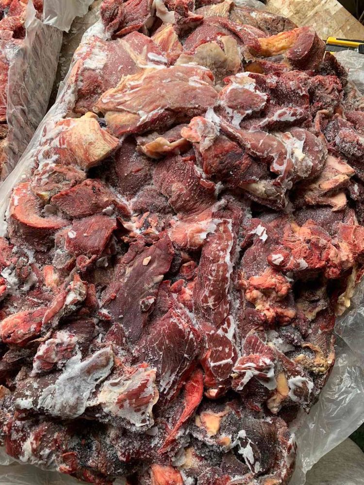 Мʼясообрізь для собак мясо корм собакам фарш субпродукти