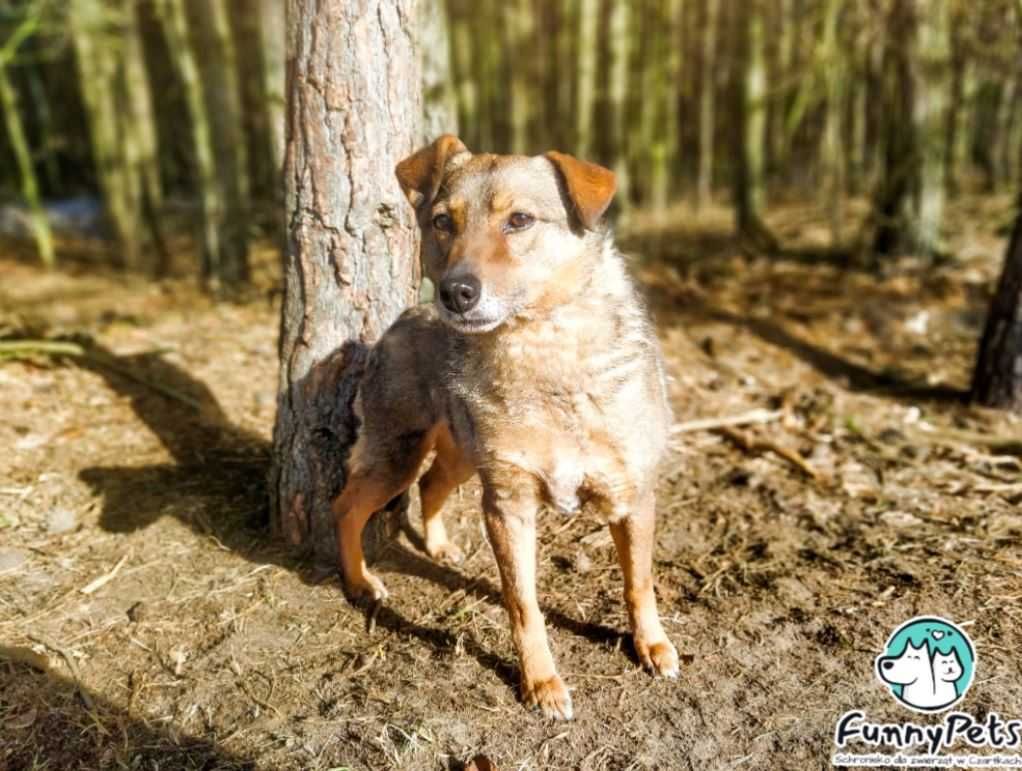 To już ostatnia szansa by znaleźć Lusi domek...