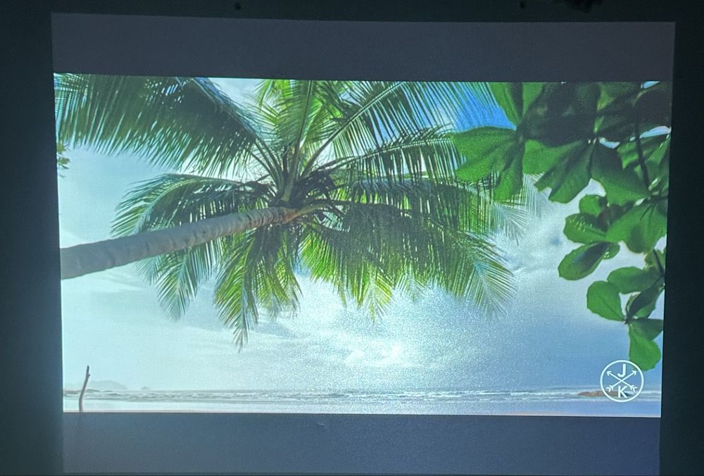 Проектор Nec NP310G Артикул D980