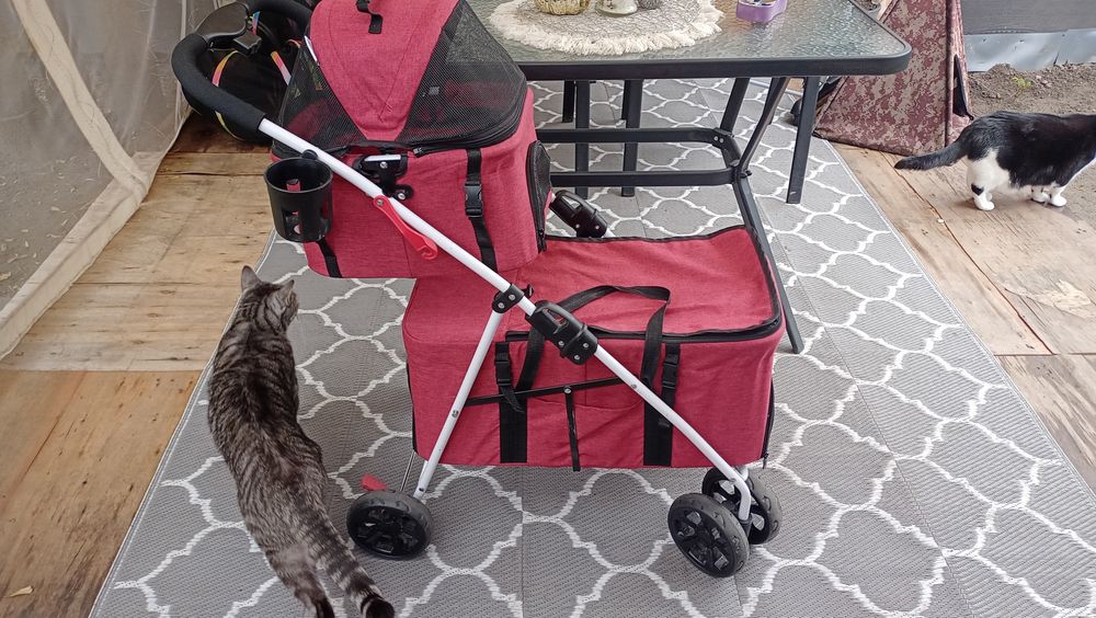 Wózek dla zwierząt podwójny transporter na kolkach dla kota psa