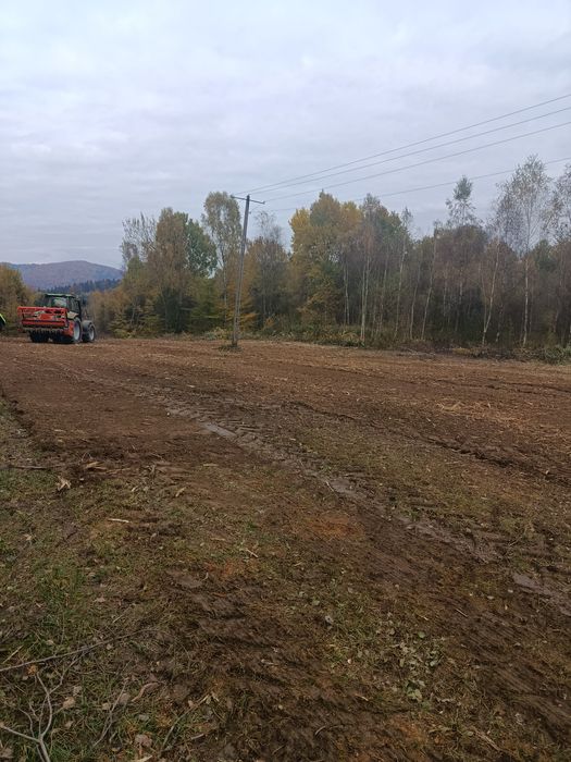 Mulczerowanie / mulczer leśny / wycinka drzew / czyszczenie działek