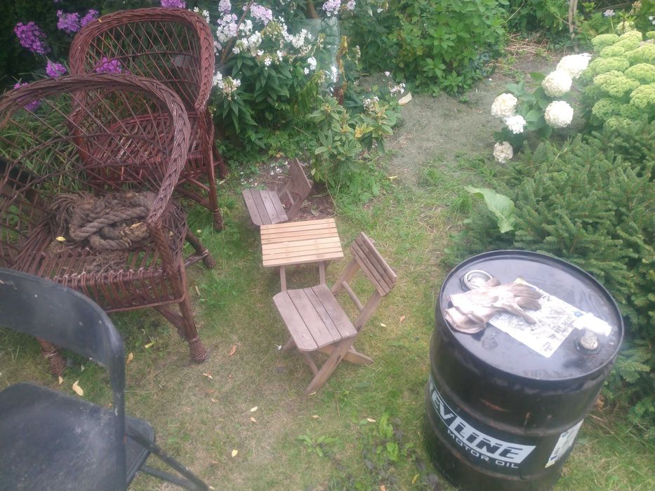 "Skarby" z działki / zabytkowe, użytkowe - wybierz dla siebie