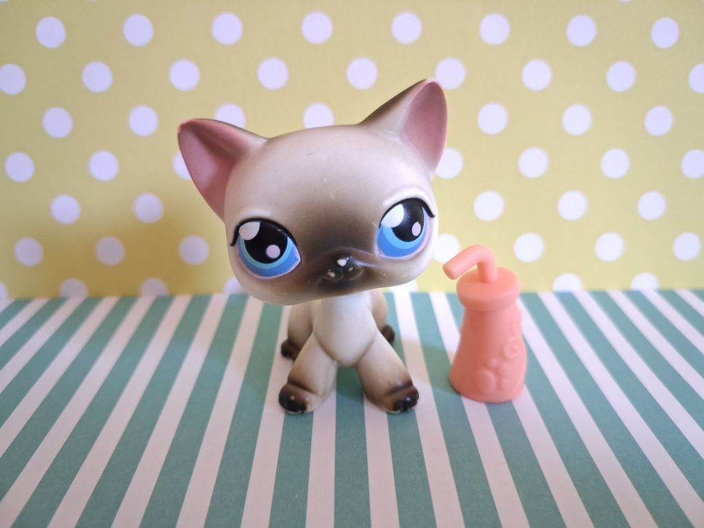 Littlest Pet Shop LPS unikatowy kot Shorthair #5 pop