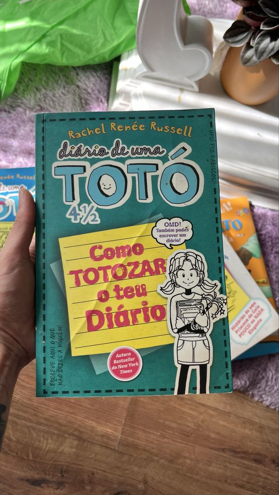 Diário de uma toto
