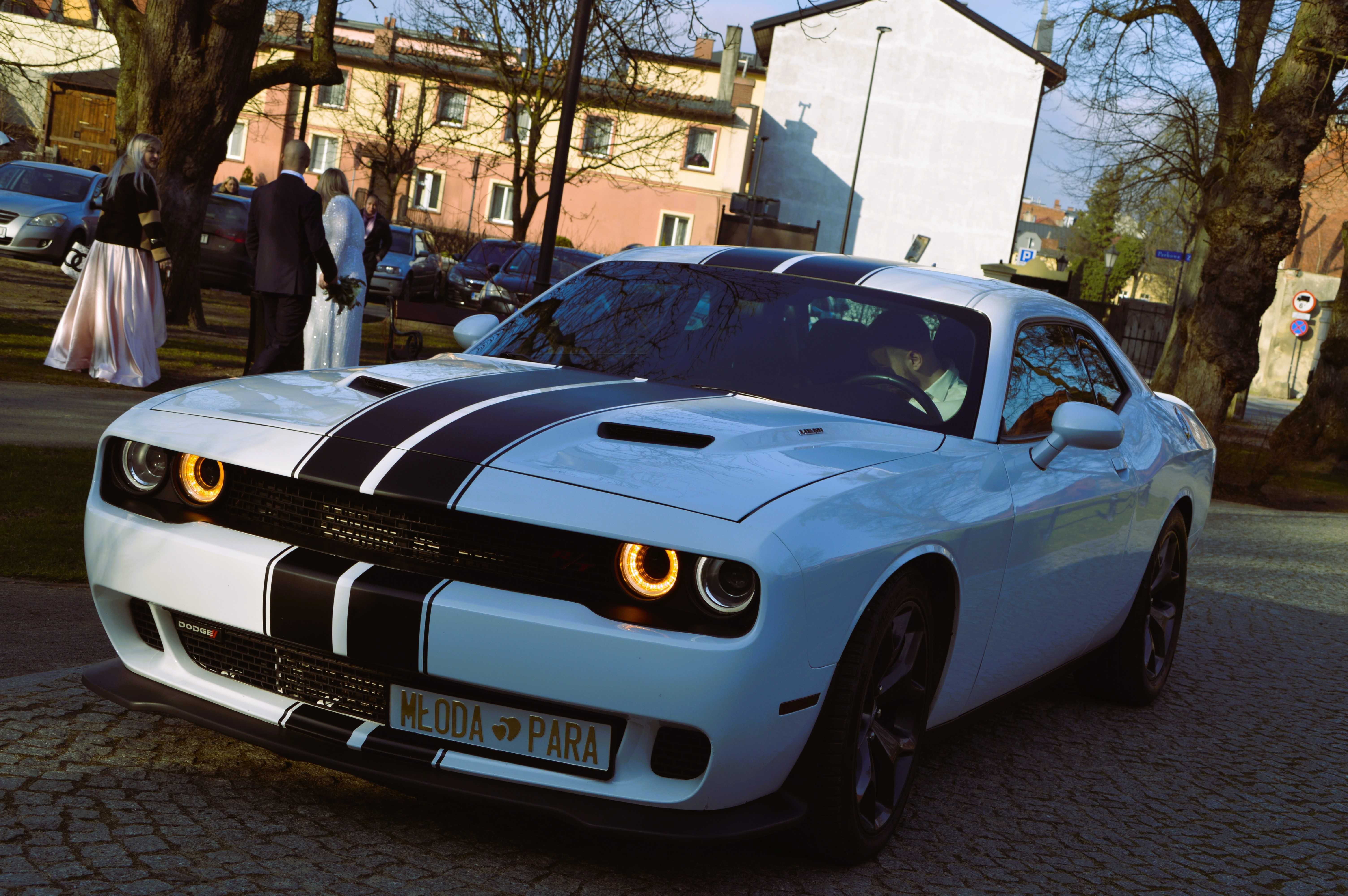 Dodge Challenger do ślubu!