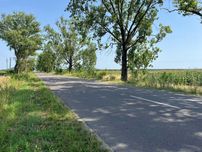 Промислова ділянка 12 Га