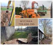 Wycinka drzew, przycinanie. koszenie traw.utlizaja gałęzi