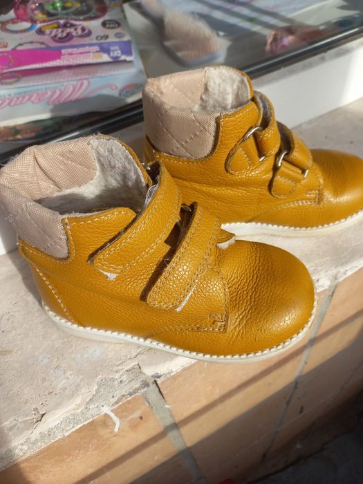 Віддам безкоштовно