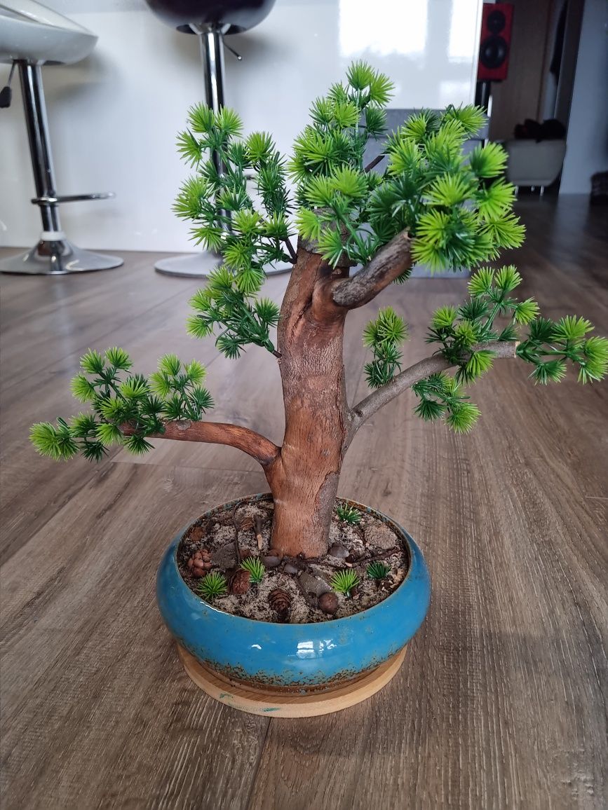 Drzewko   bonsai