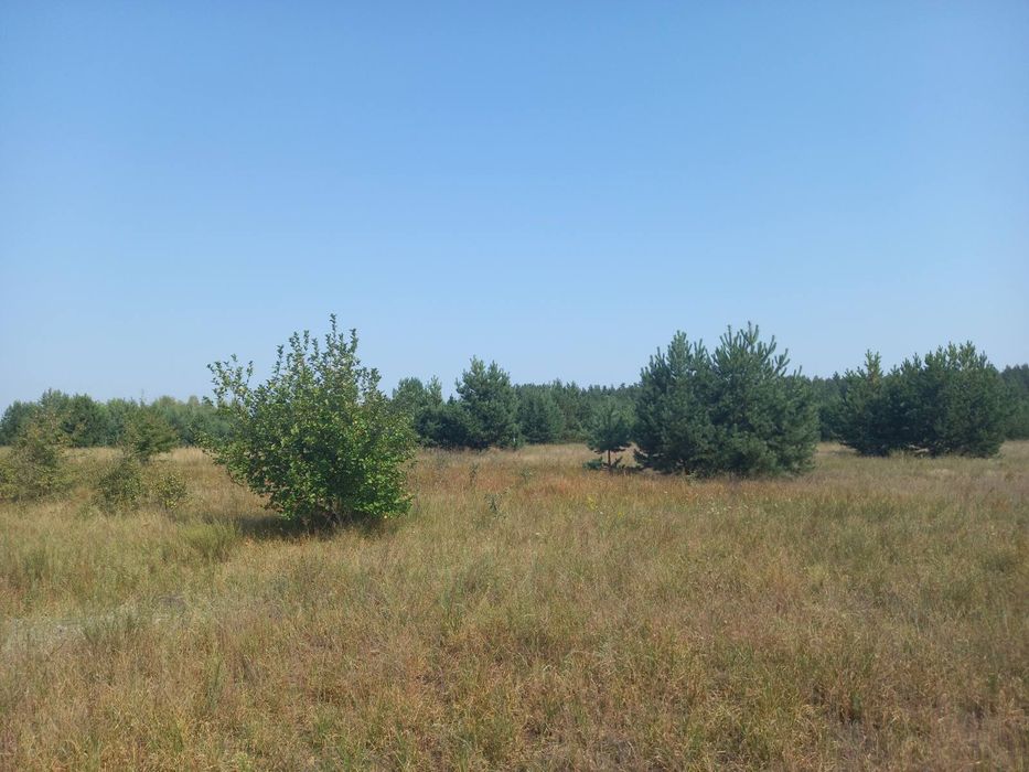 Ділянка правильної форми