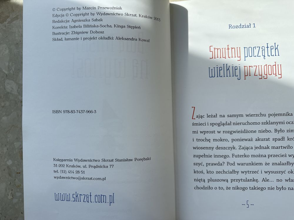 Książka dla dzieci-Dwa miśki na wynos
