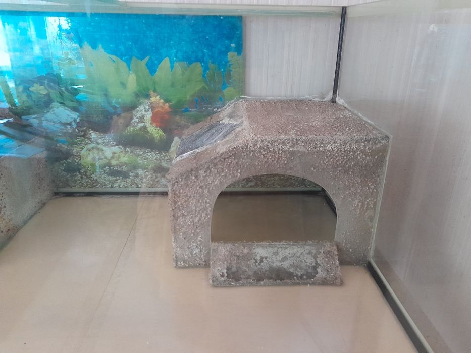 Большой аквариум-терариум.