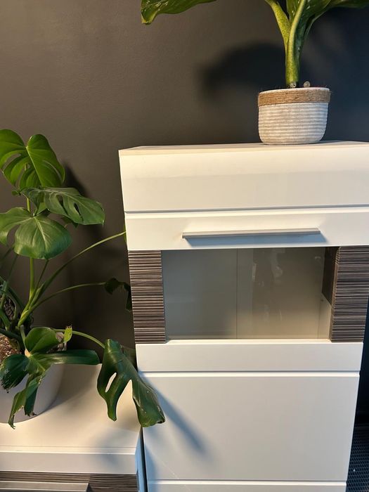 Mebloscianka biala w polysku