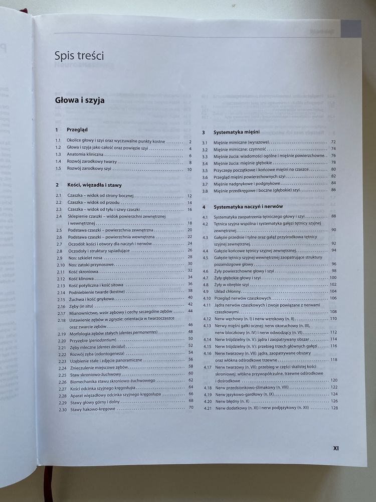 Prometeusz Atls anatomii. Głowa, szyja i neuroanatomia