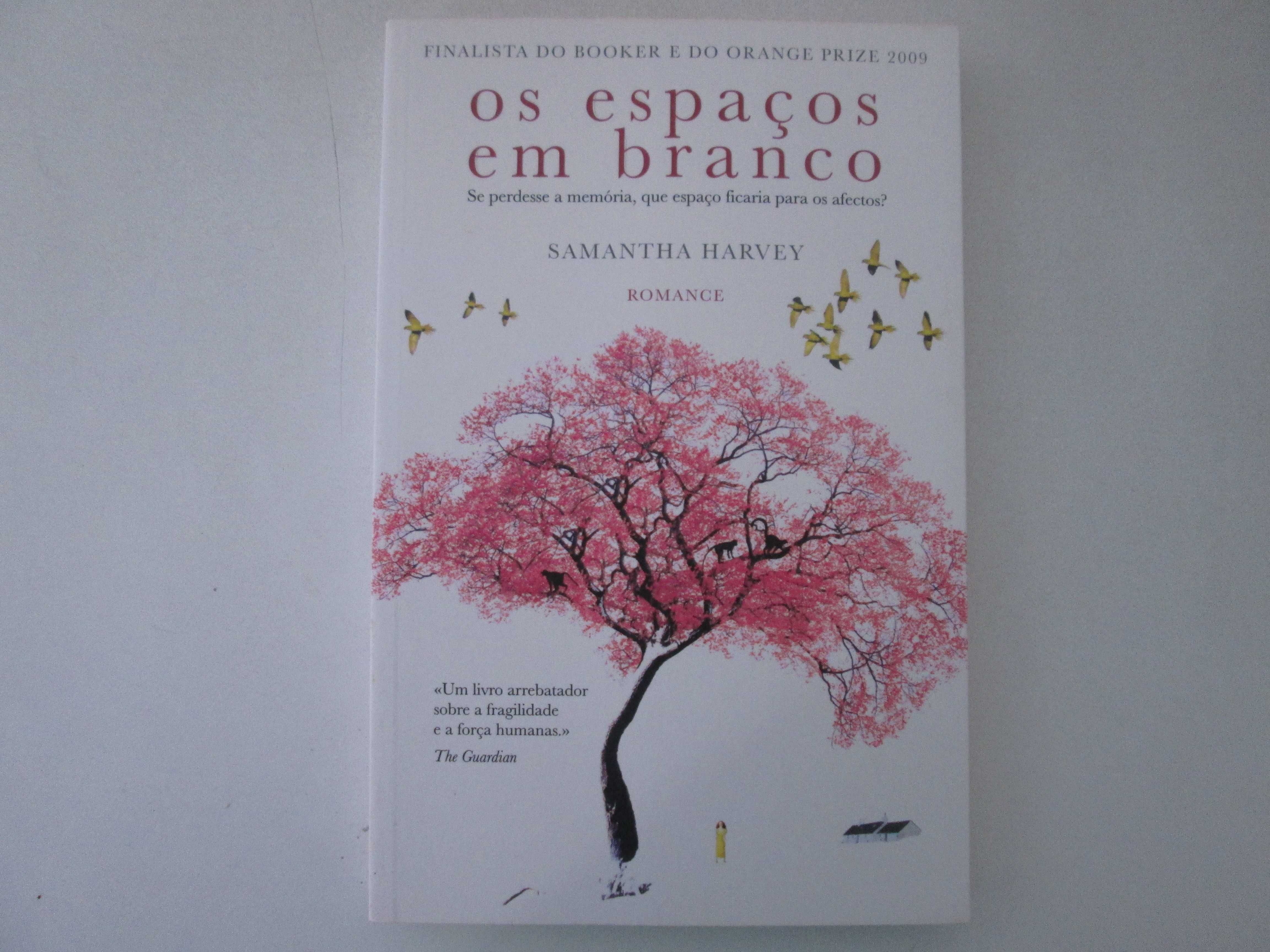 Os espaços em branco- Samantha Harvey