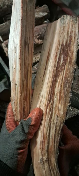 Karpina/Łuczywo/rozpałka