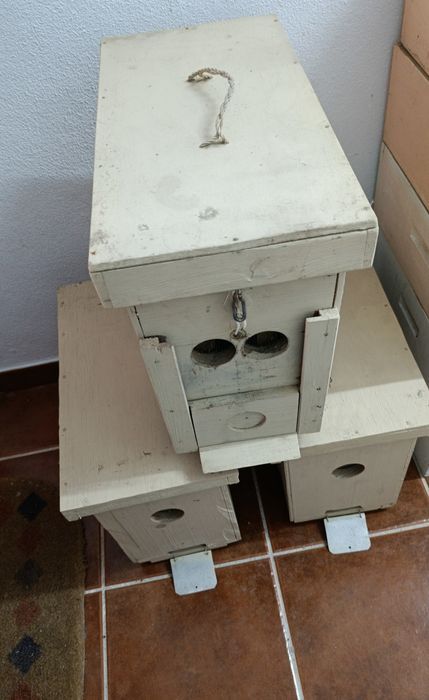 4 Núcleos para apicultura