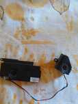 Colunas Acer extensa 5630 Ez