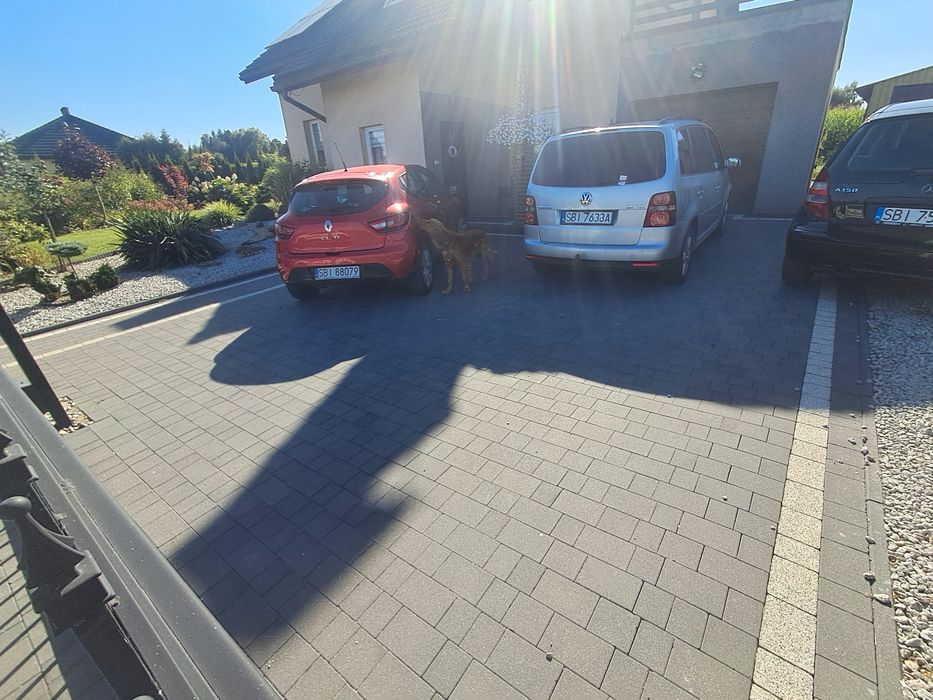 Usługi minikoparką