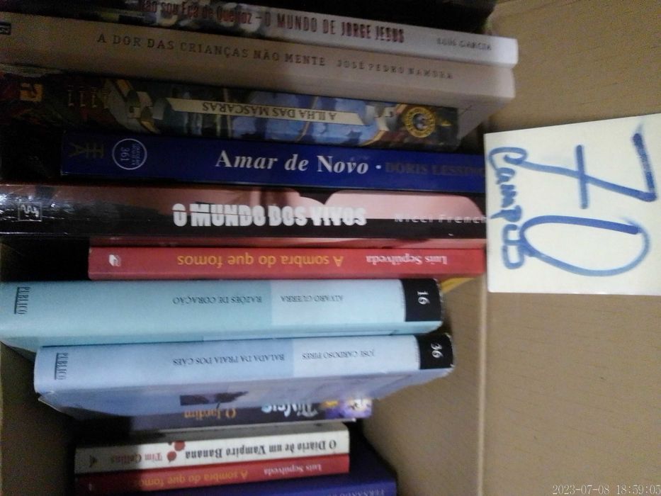 LOTES 62 + 70 - LIVROS Diversos - Vendidos EM SEPARADO - Vários Preços