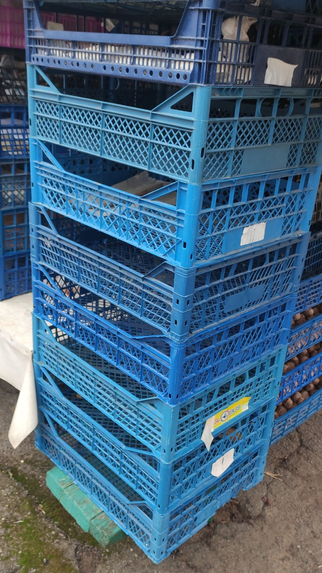 Продам пластикові ящики для фруктів .