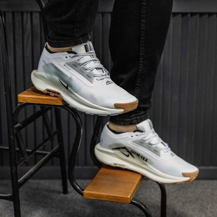 Кросівки Nike Pegasus Trail 5 Gore-Tex White/Beige premium