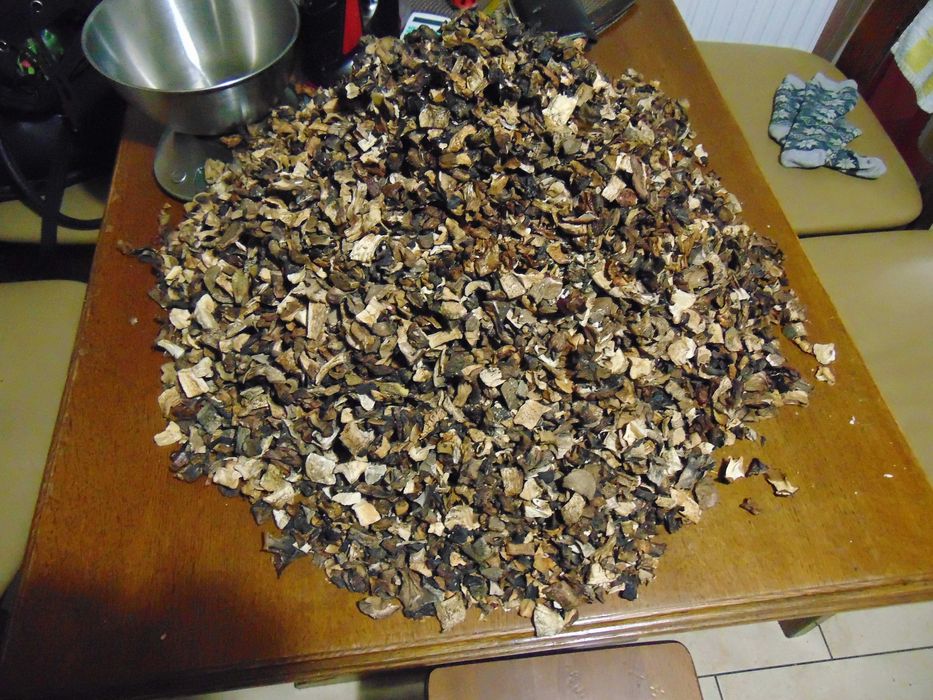 Grzyby Kozlarz czerwony+Babka-MIX suszone 1 KG 170zl SUPER CENA-2024R