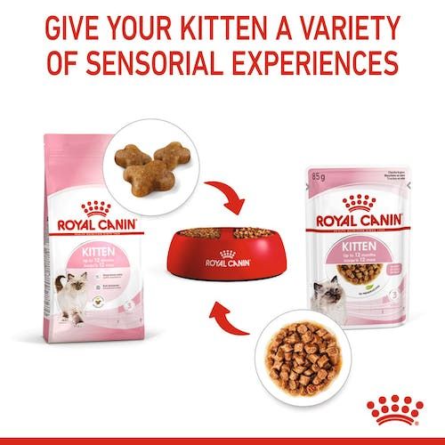 Karma w sosie dla kociąt do 12 miesiąca życia Royal Canin Saszetka 85g