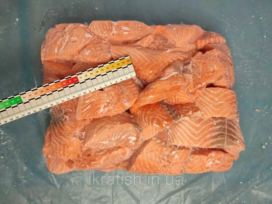 Филе лосося,форели,сёмги кусками