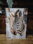 Obraz zebra Afryka malowany na płótnie 120 x 80 #1546 Stylowy Węgrów