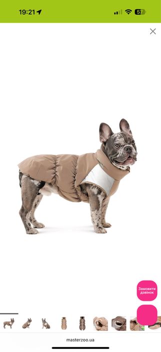 Жилетка для маленької собаки