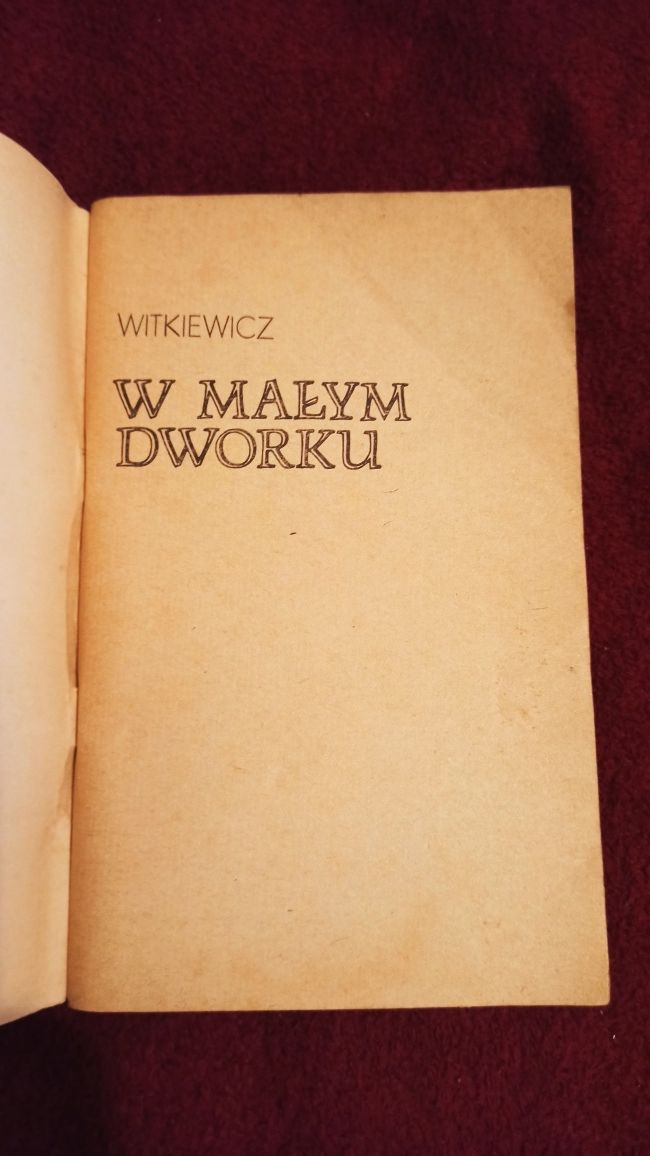 Książka W małym dworku - S. I. Witkiewicz